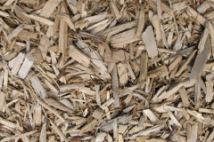 biomass boilers Cadnam